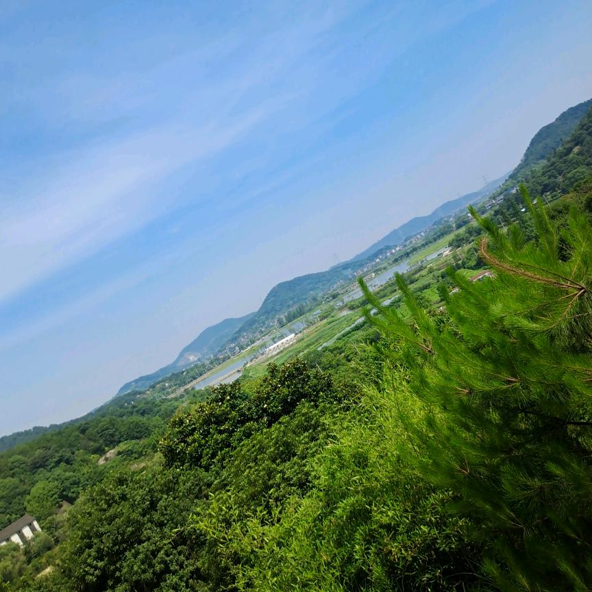 yishengyouni