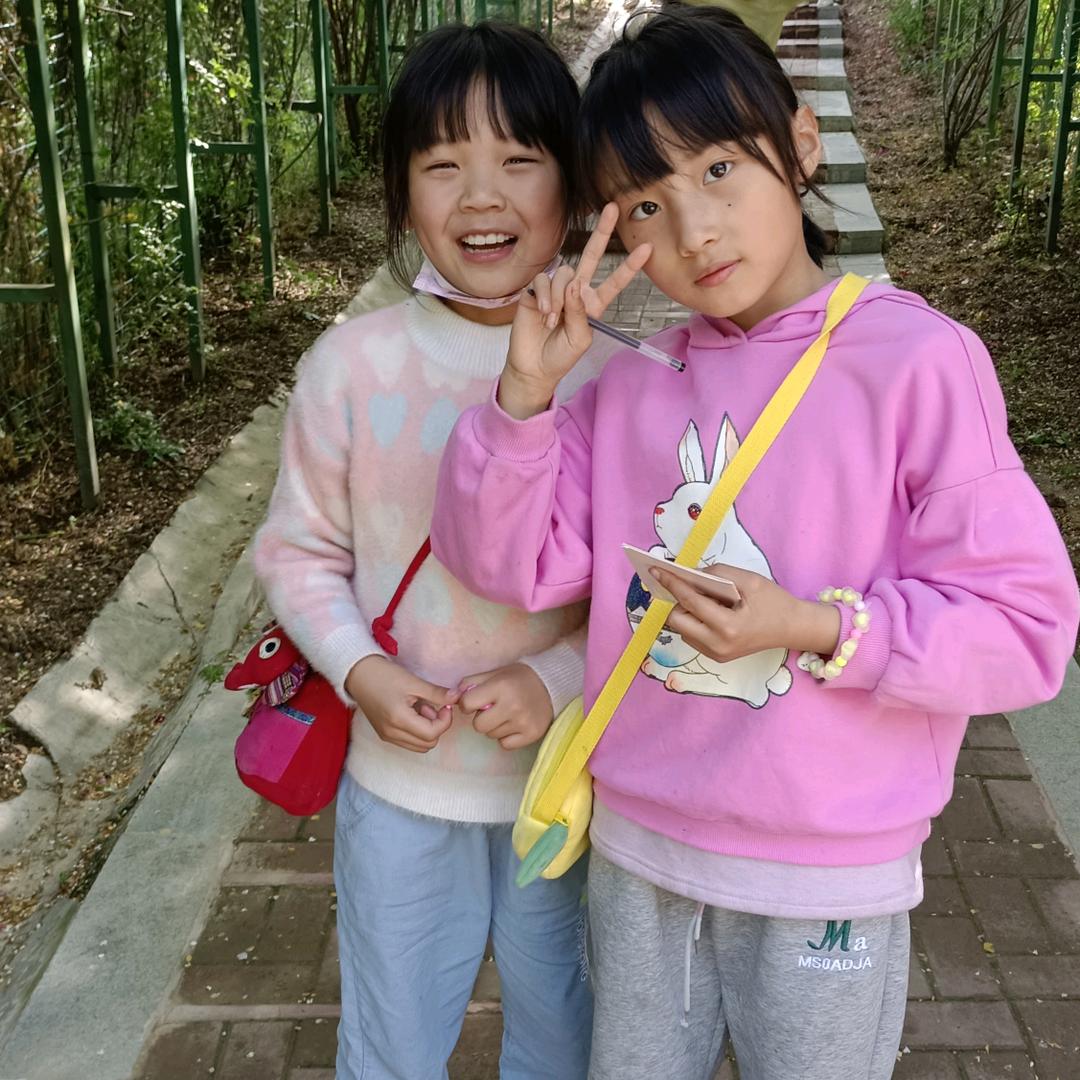 🌸花开富贵🌸🌷💐