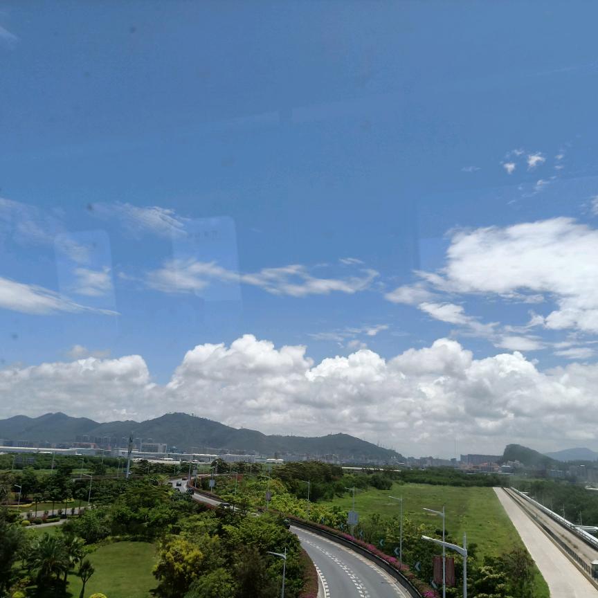 小叶