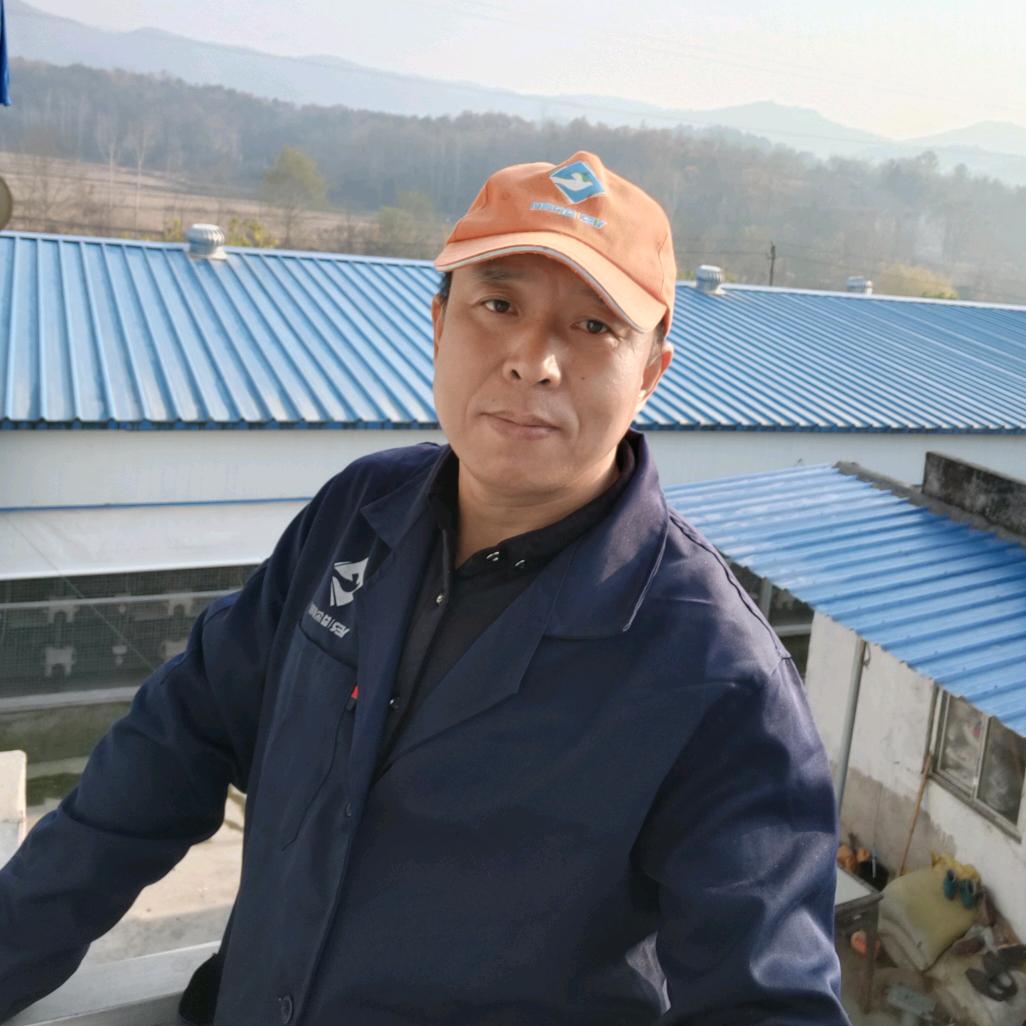 安陆涢鑫鸽业