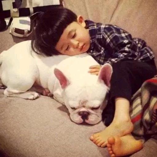 雨落倾城夜薇凉