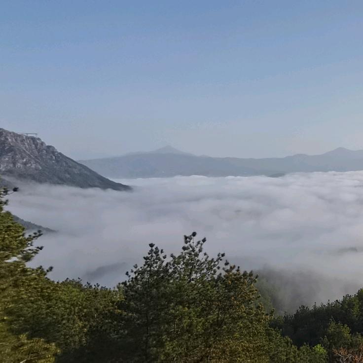 山君与见山