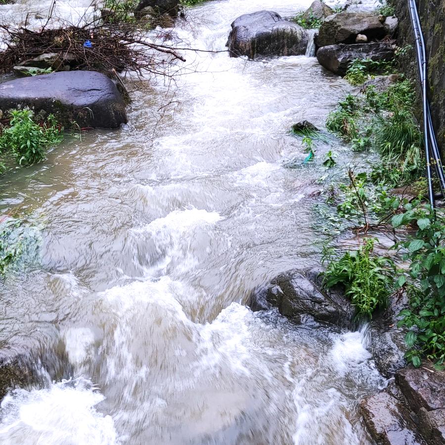 三月小雨