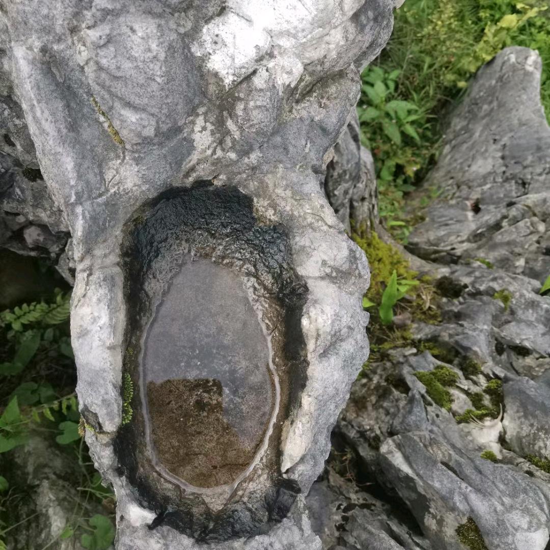 追逐