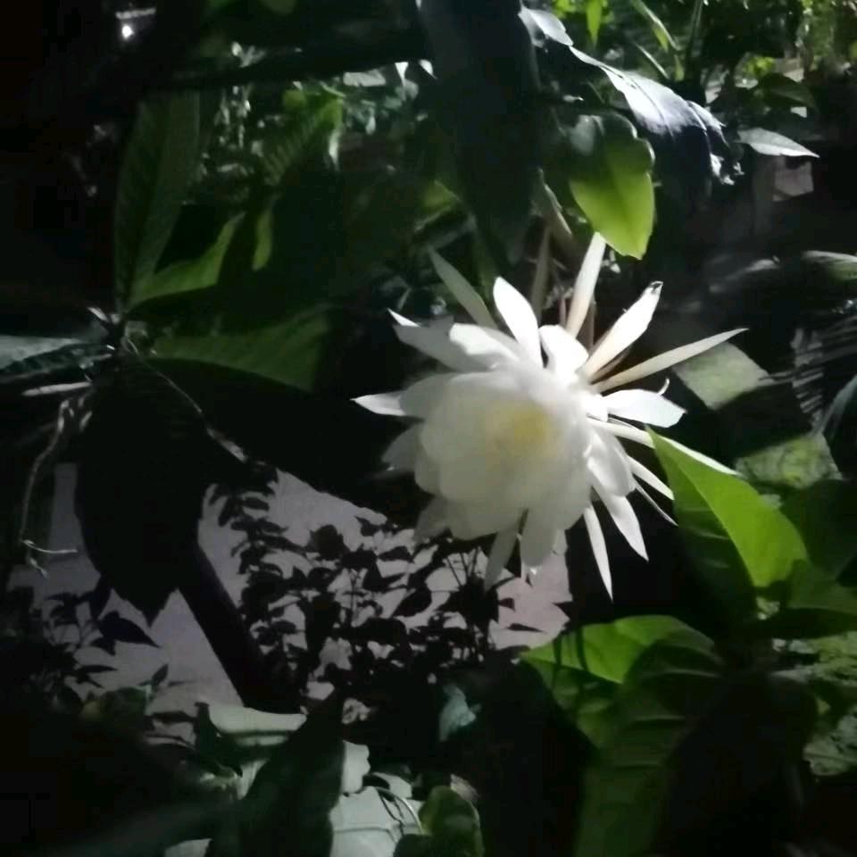 用户404476568643
