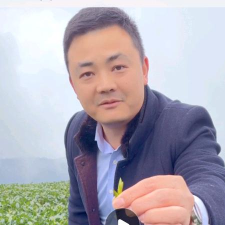 雅安市名山区茗信茶叶