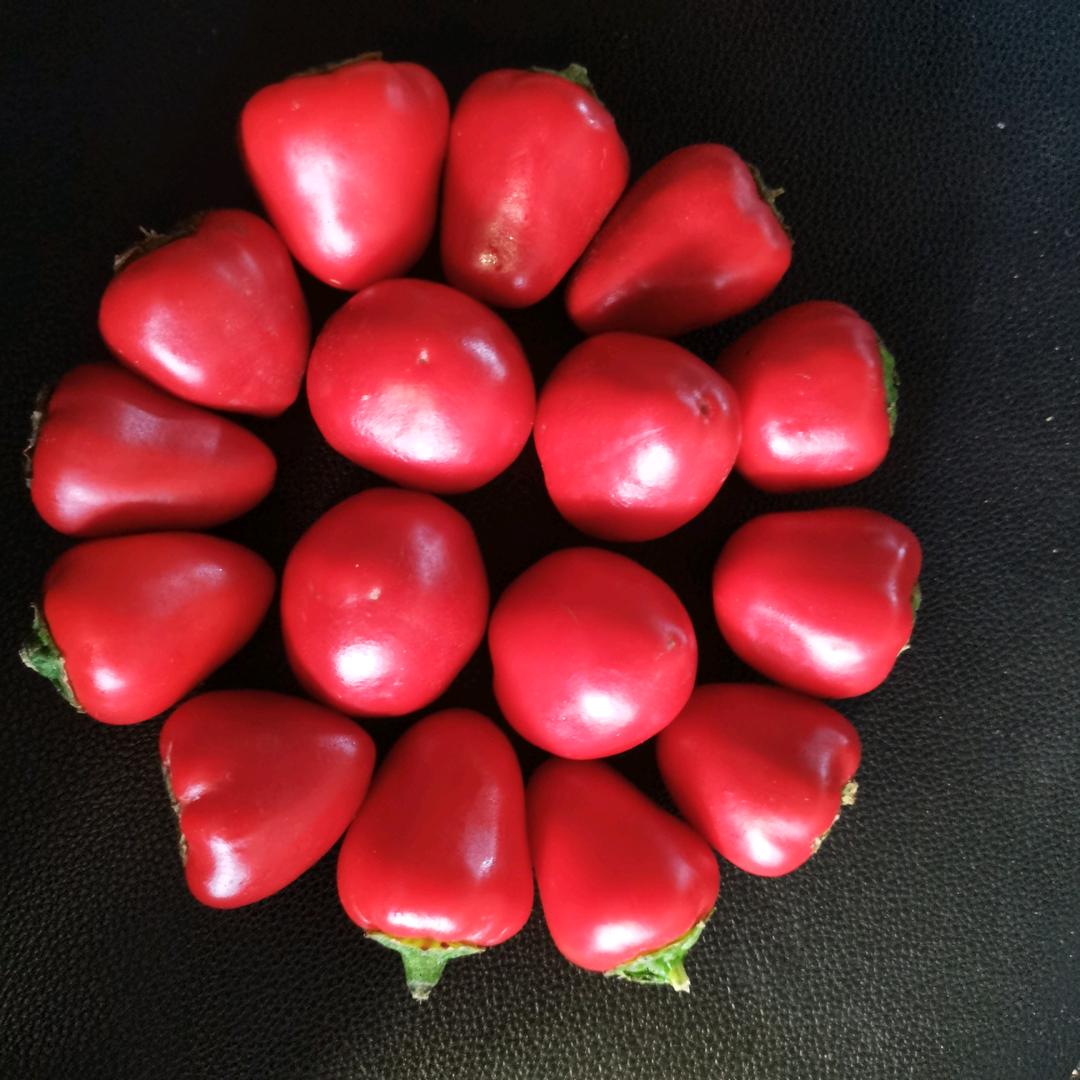 杨老三河南最大的辣椒烘干基地