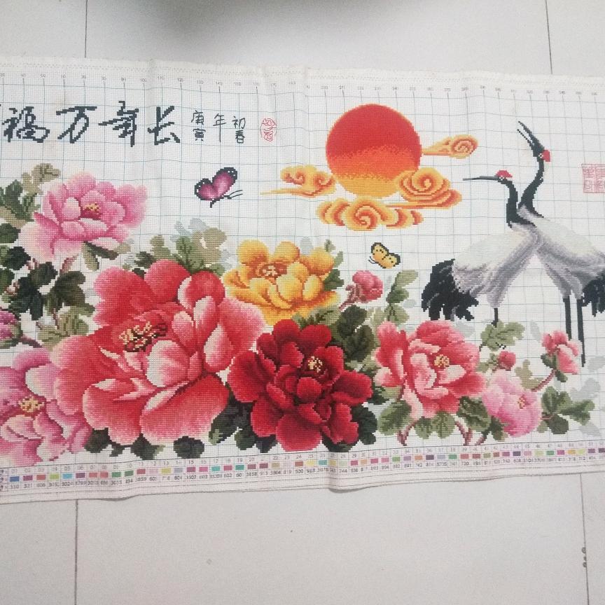 向往的生活T