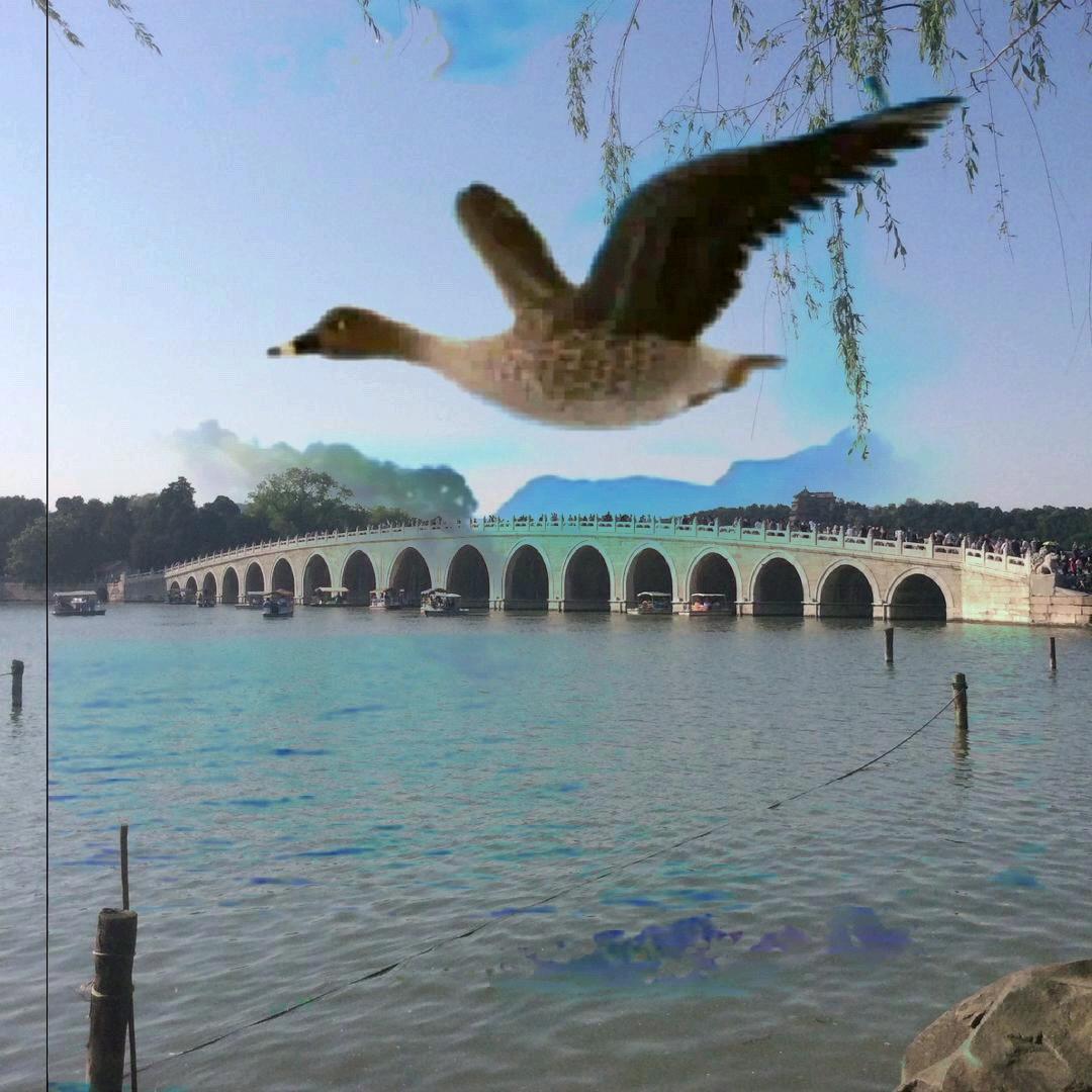 一丝曙光＊刘（切忌连赞）