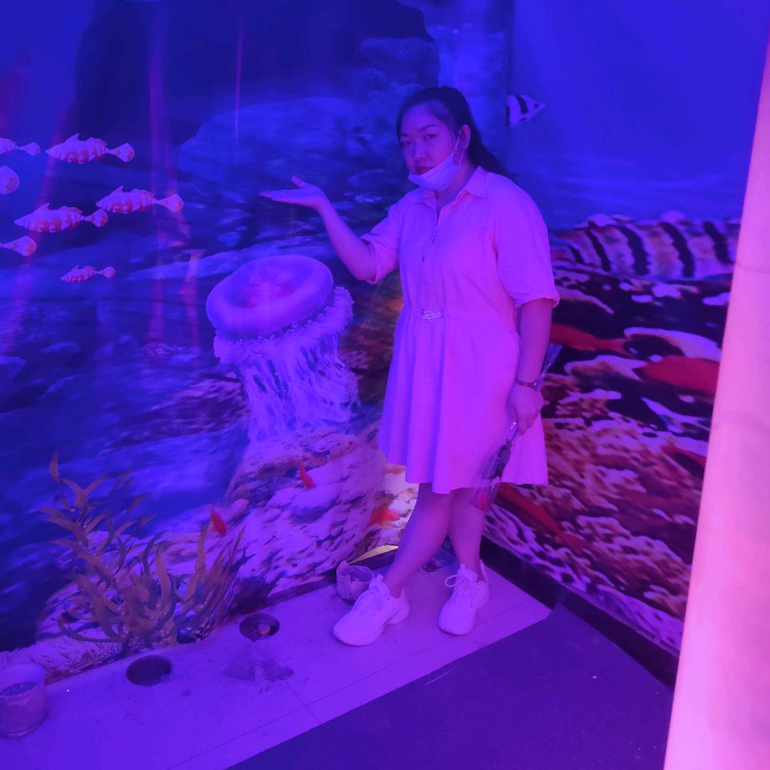 愤怒的小鸟