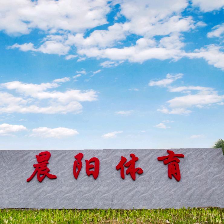 晨阳 体育