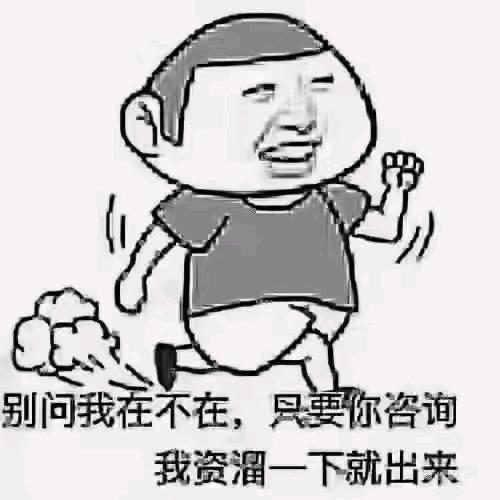17.5大板小莫