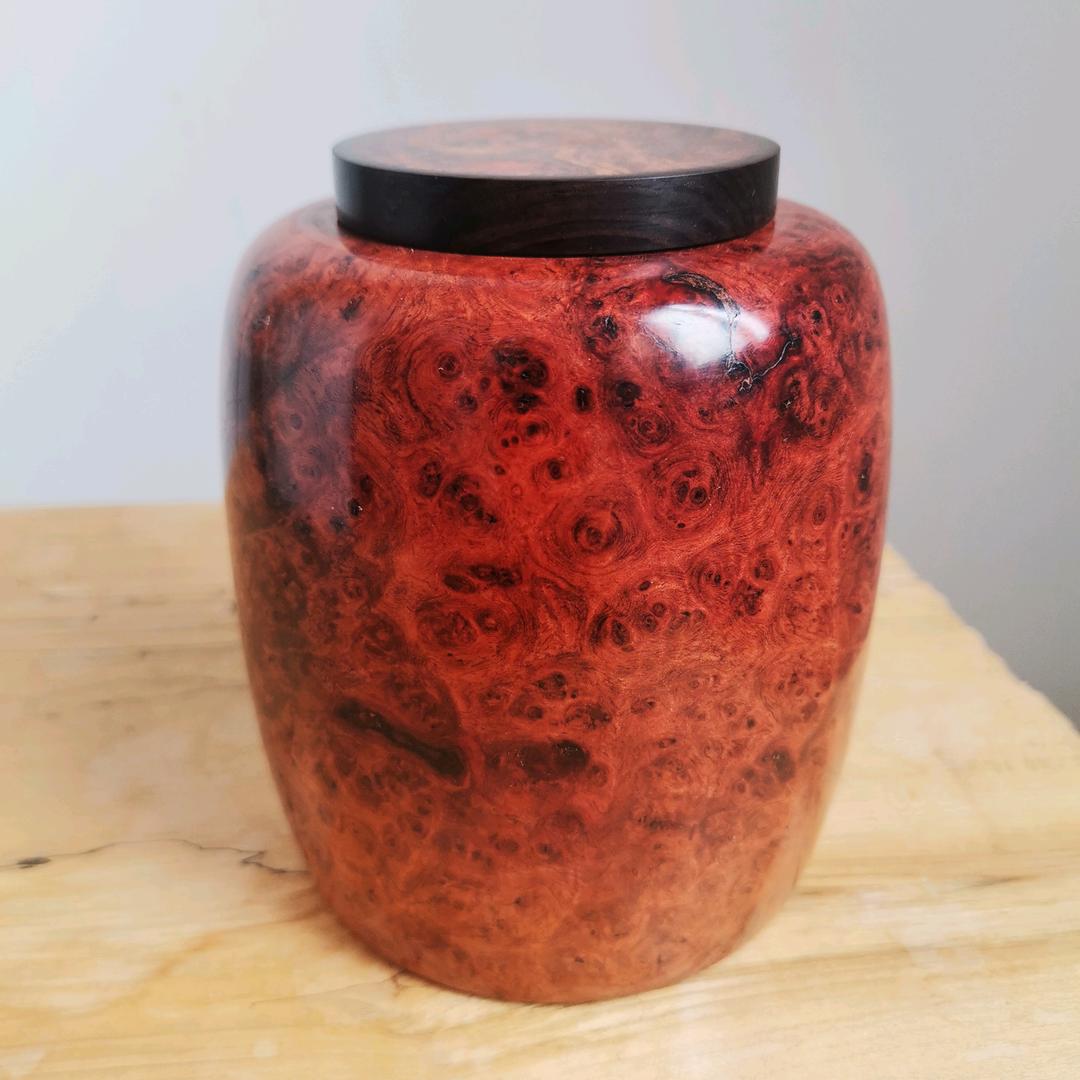 用户9393391908432缘木