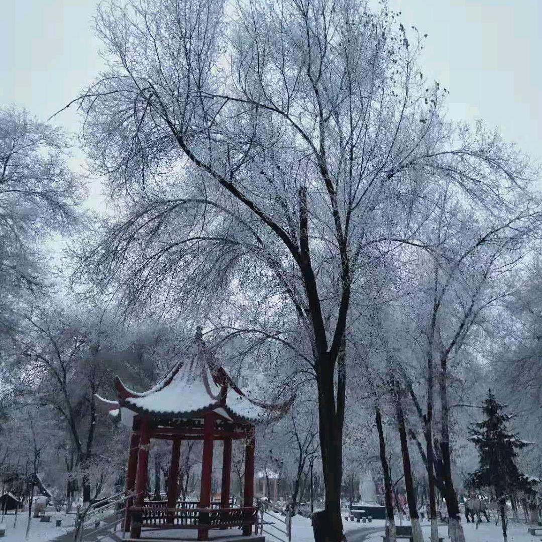 走西头，住西头