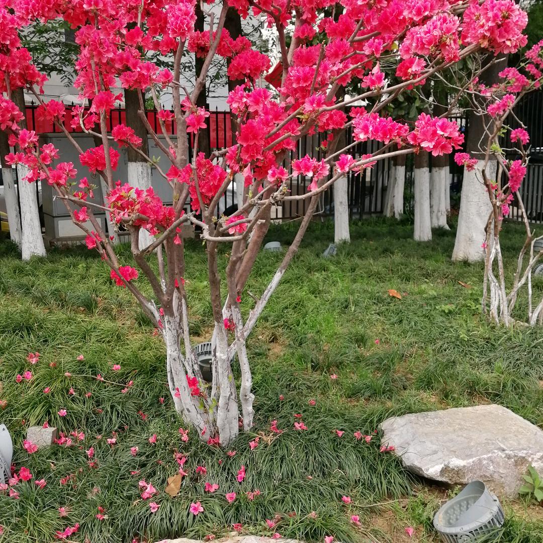 金玉  防水防腐 桥架钢结构  工程施工