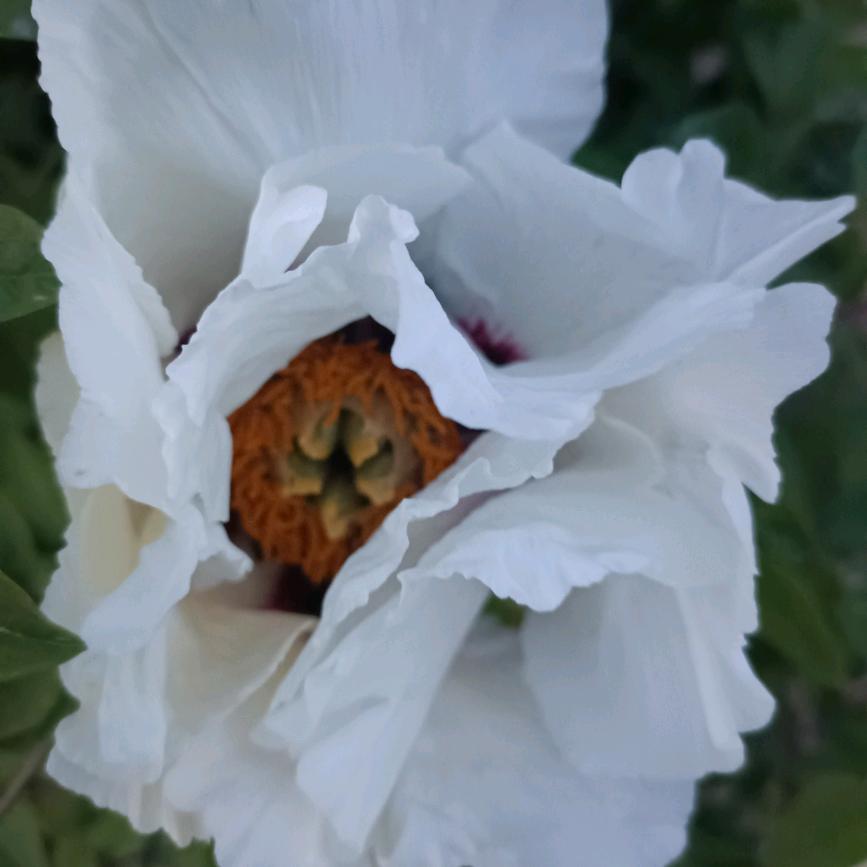 爱的世界  爱的你