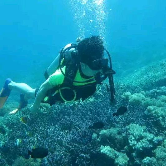 悦海国际旅行社