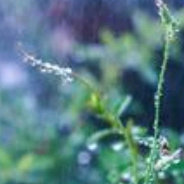 丑丑妈妈爱丑丑