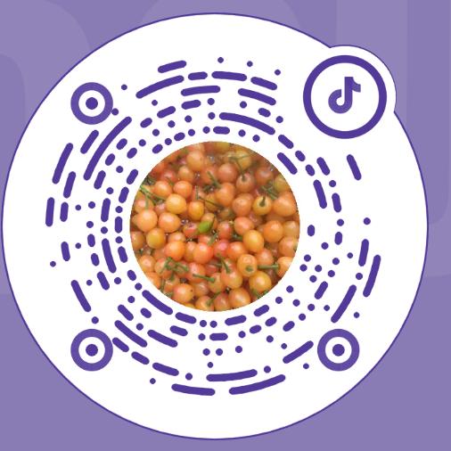 张振成