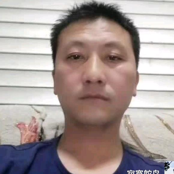 寂寞鸵鸟