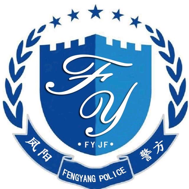 凤阳公安在线