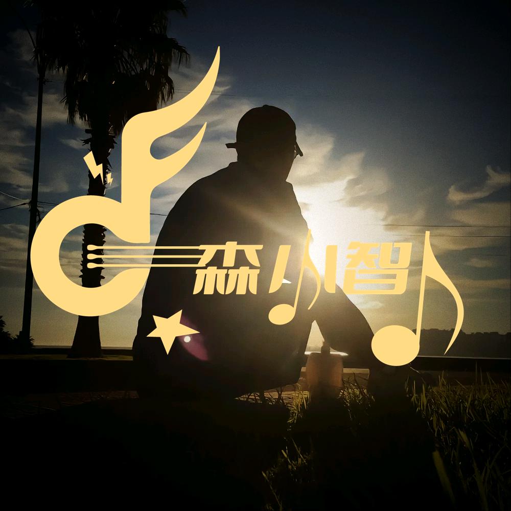 森小智的歌单@抖音