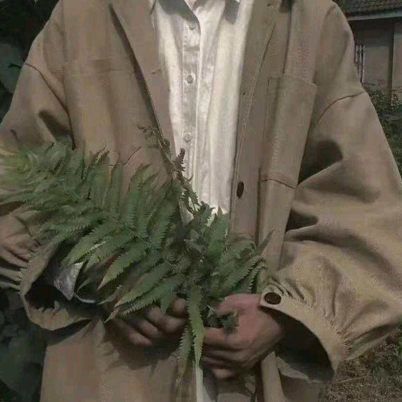 多胖亿点