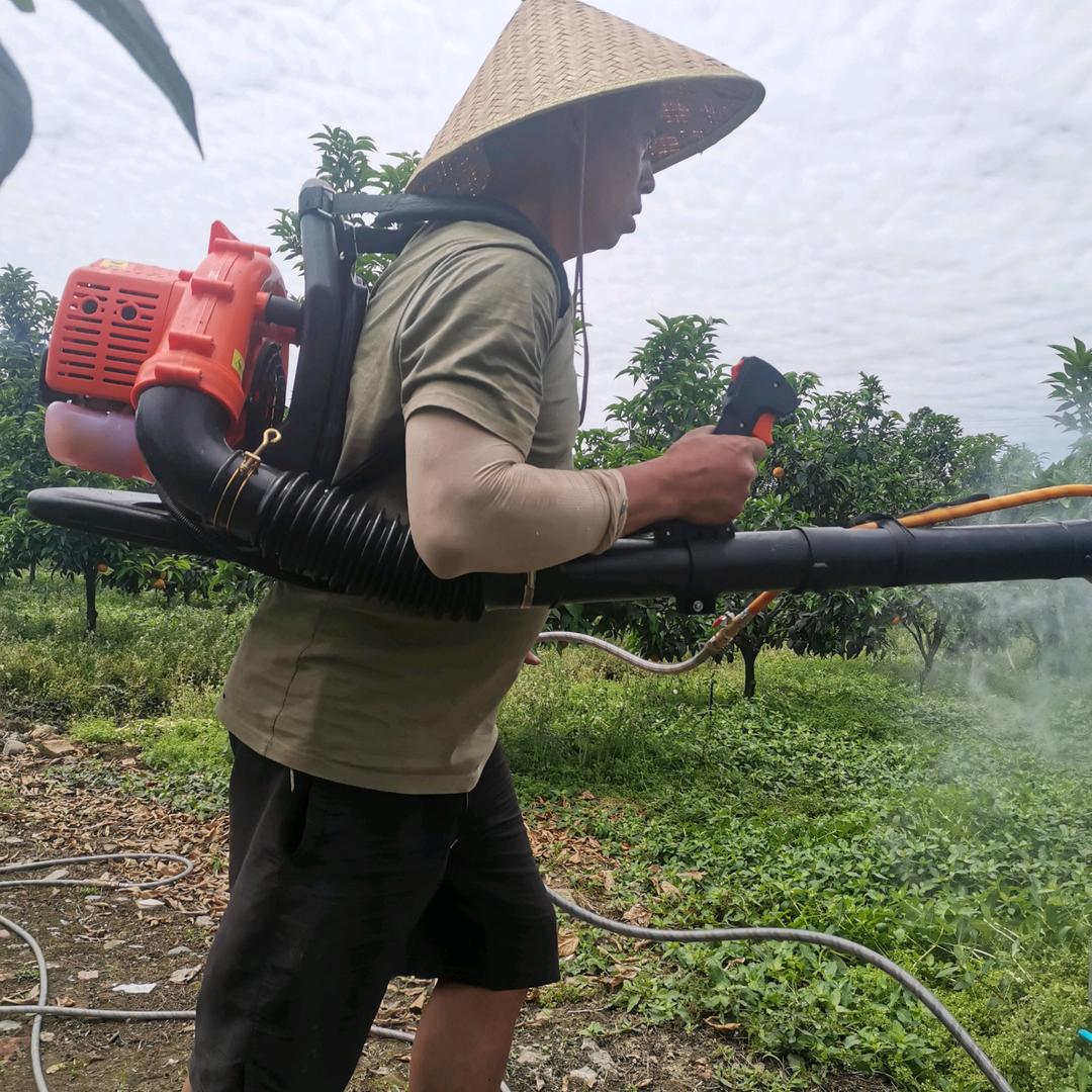 刘皮气（乐翻天果园🍊）