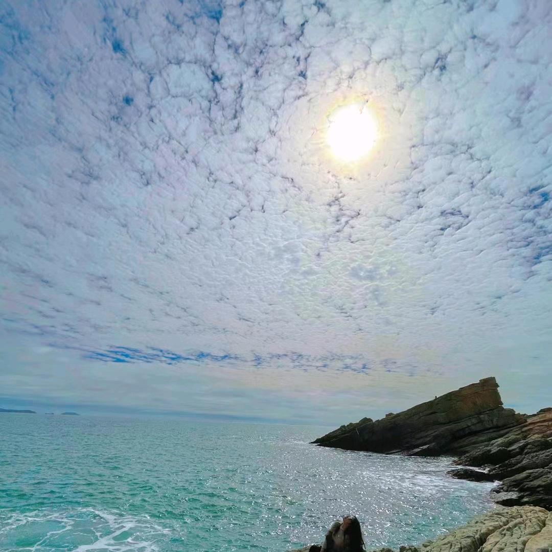 世间再无张显宗