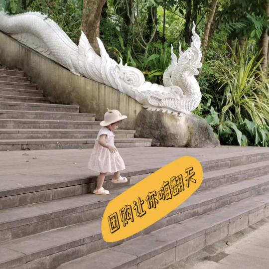 林姐来了
