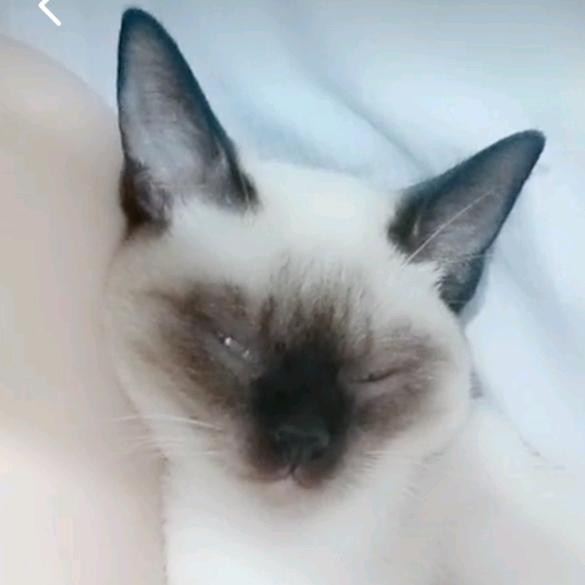 以后越来越好