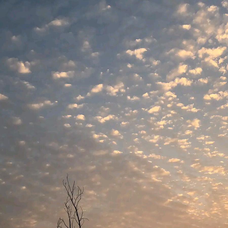 明天你好