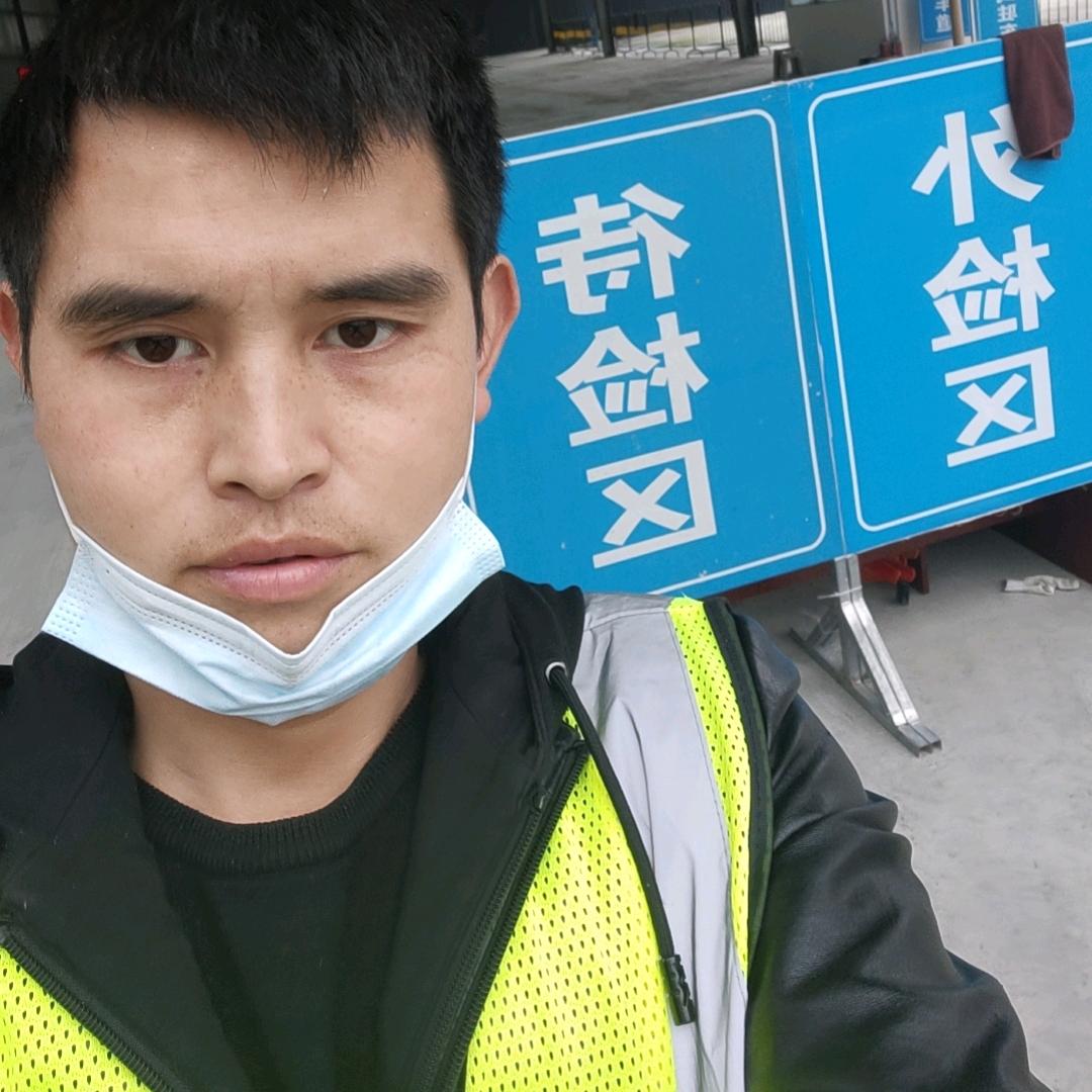 审车（杨二）