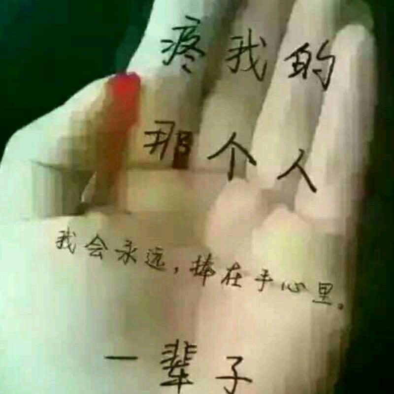 曾师傅全省包车