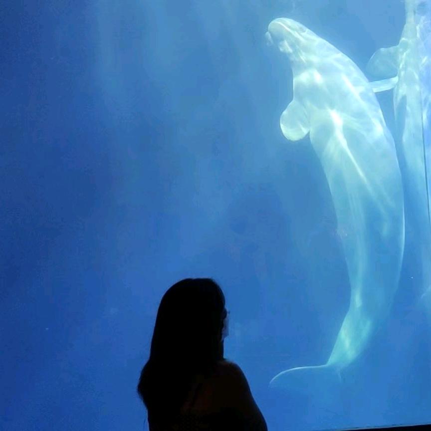 王铁塔吖(看过陈奕迅演唱会版)。