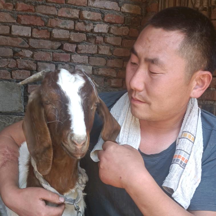 家润绿色养殖。