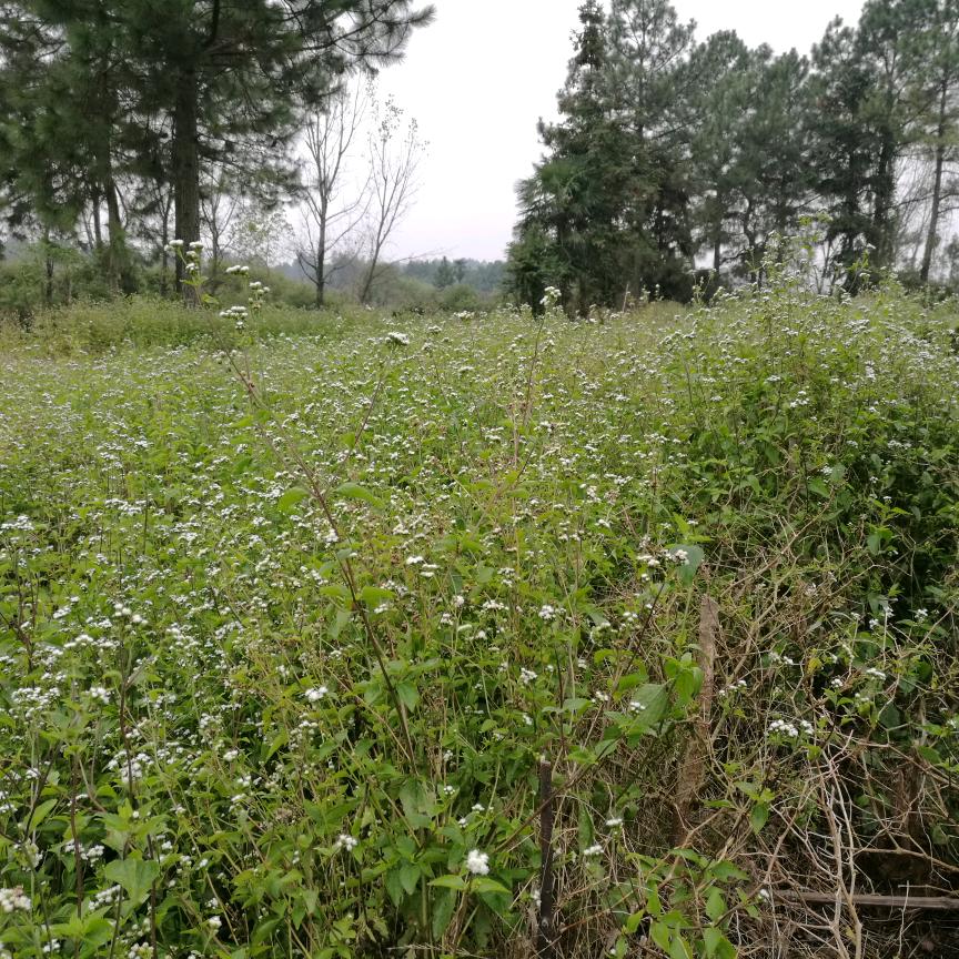 物极必反，否极泰来