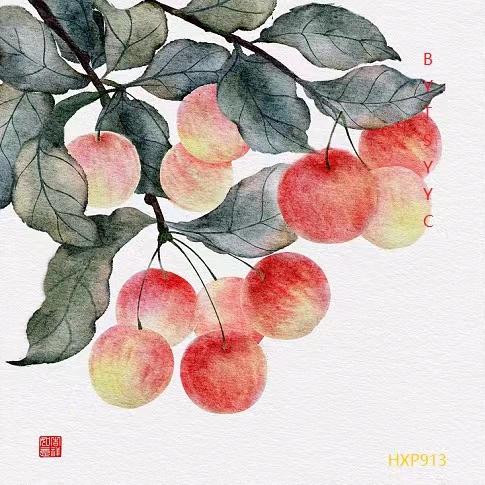 柿柿如意