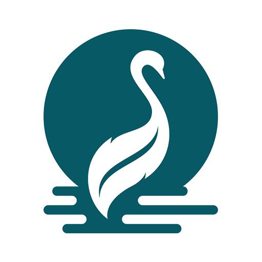 鹅毛