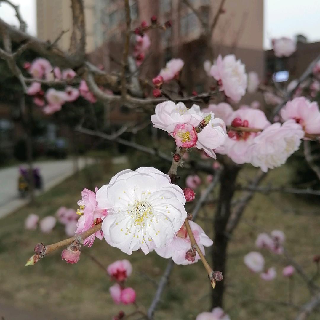 陈仓人
