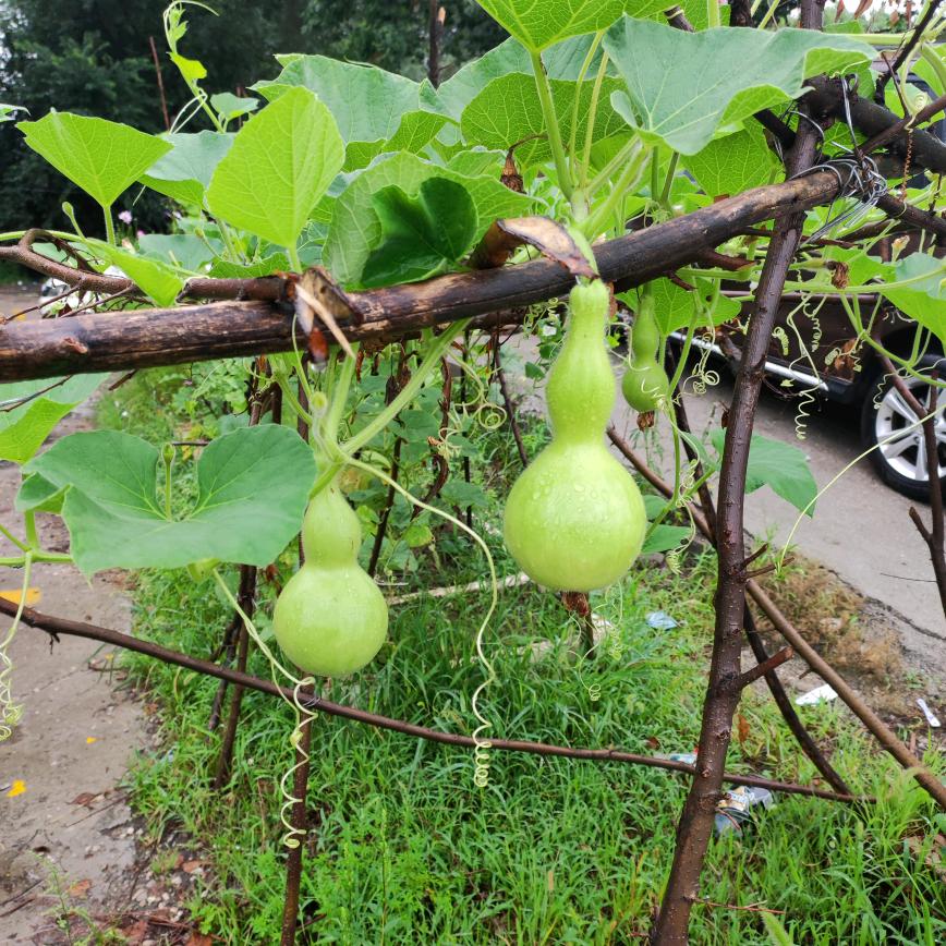 清风明月@