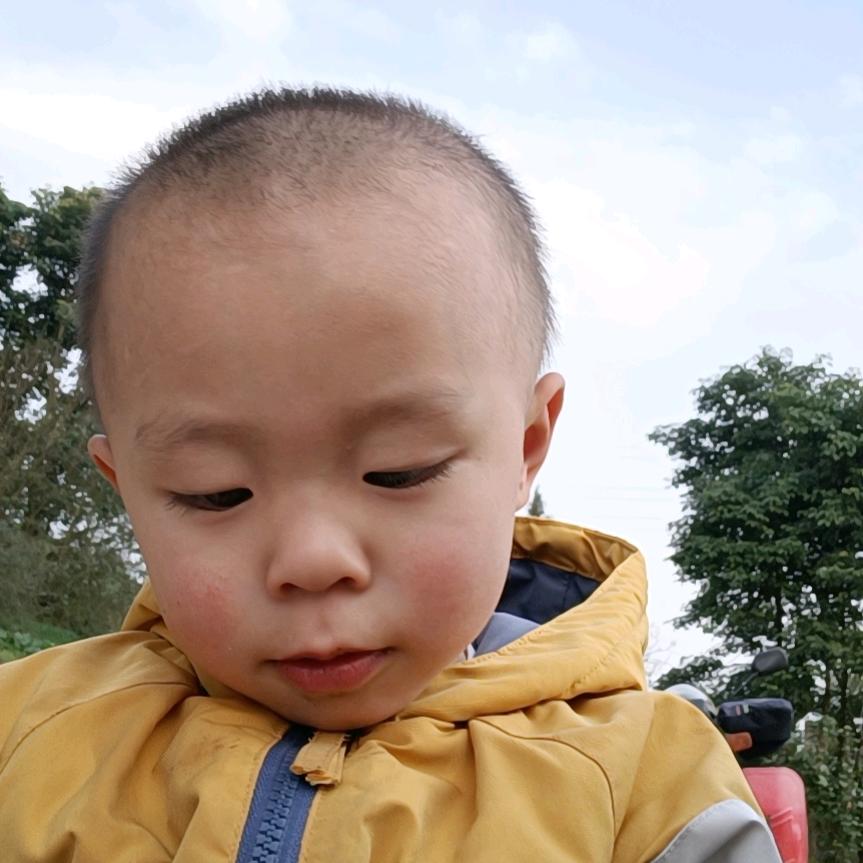 幼懵少女