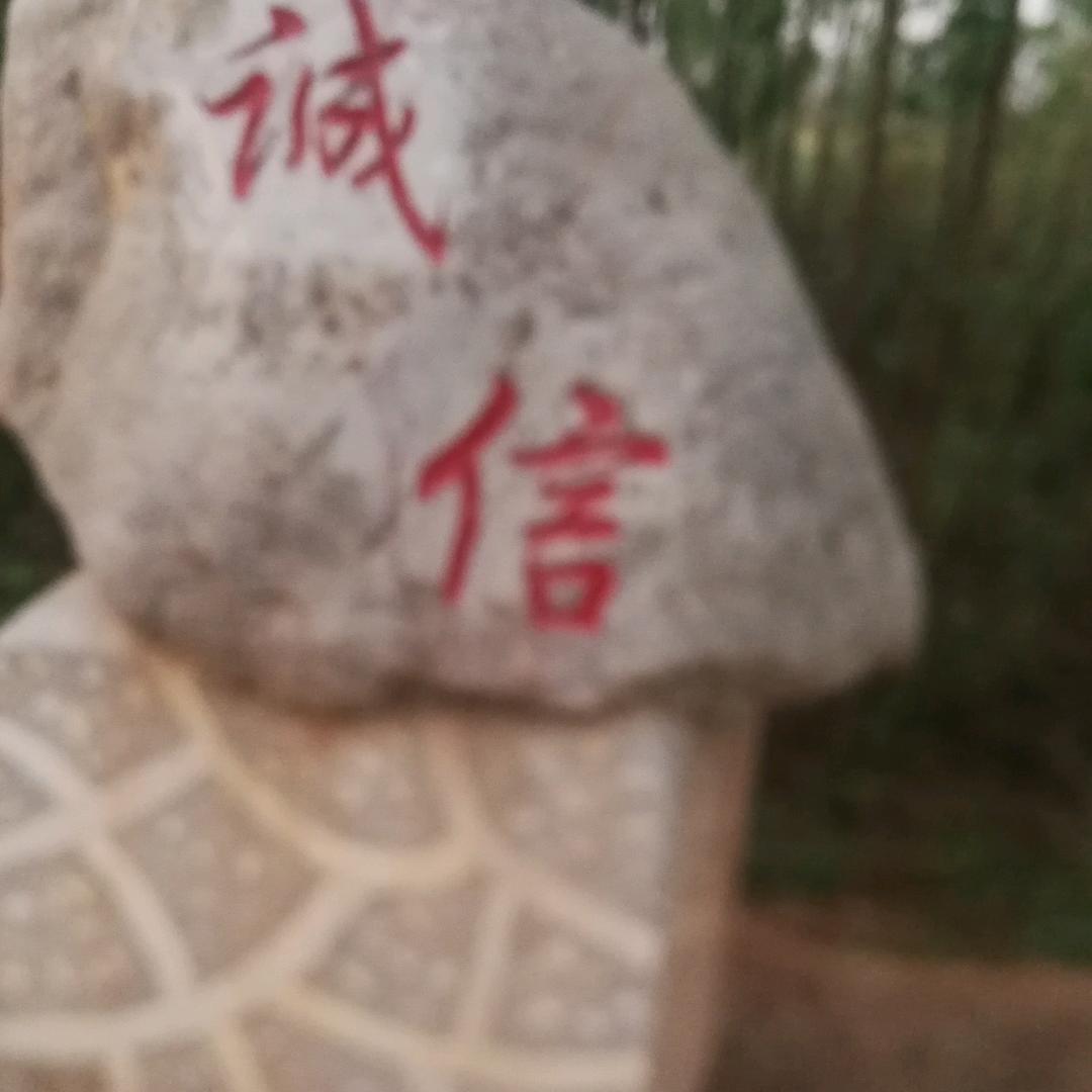诚信