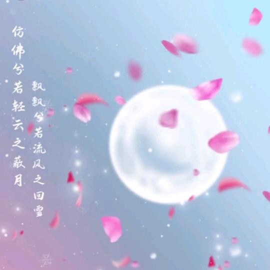 浪也无悔