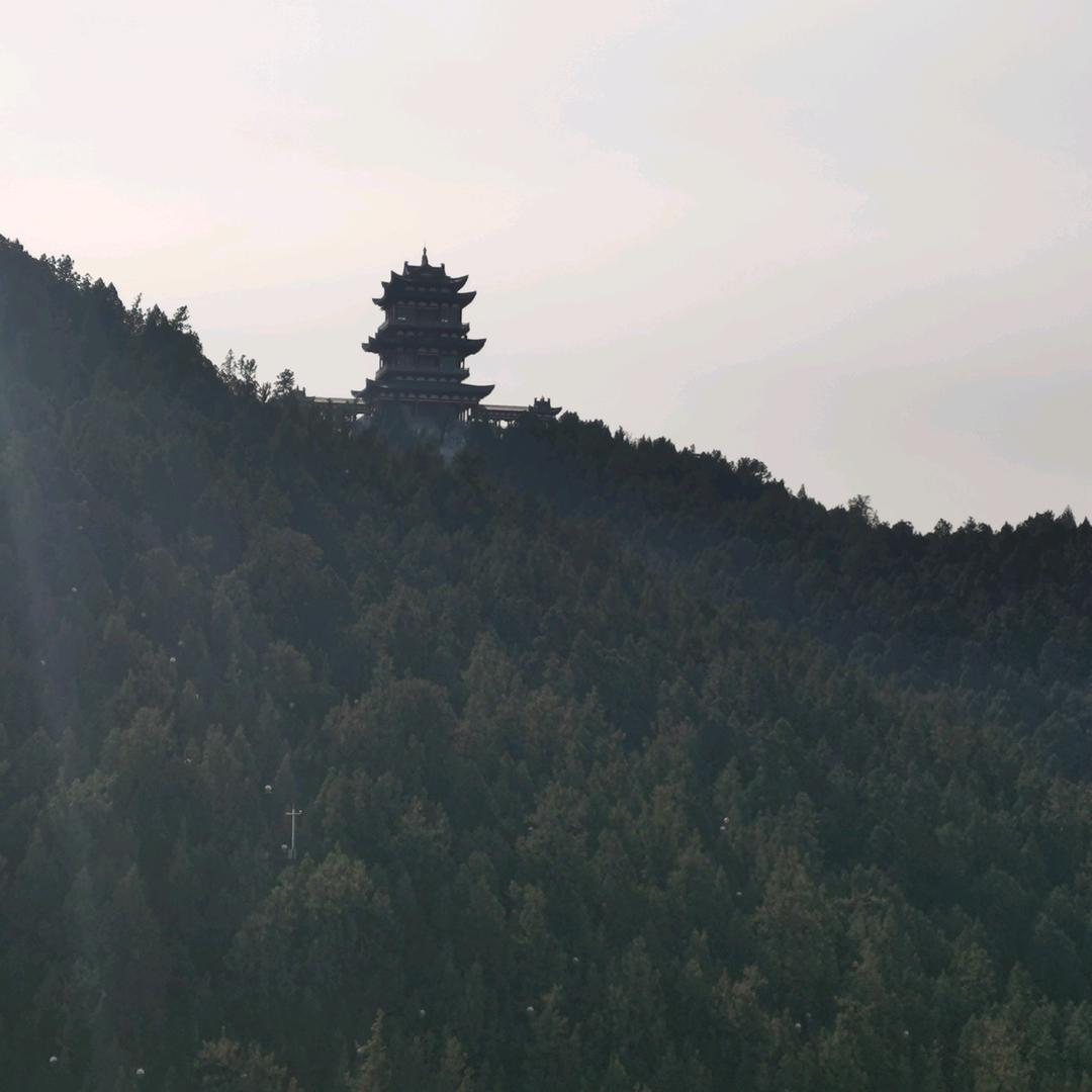 海