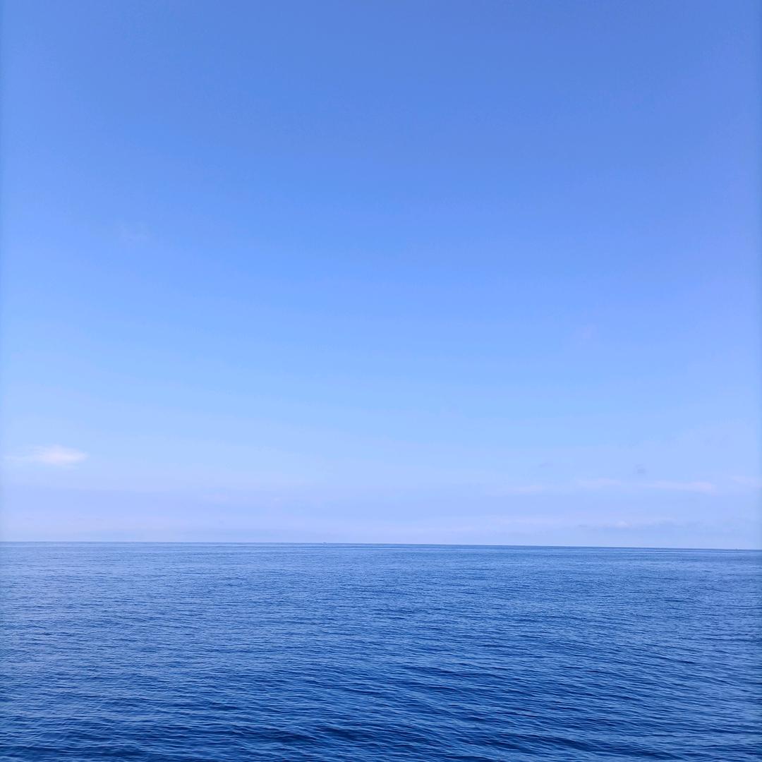 大海