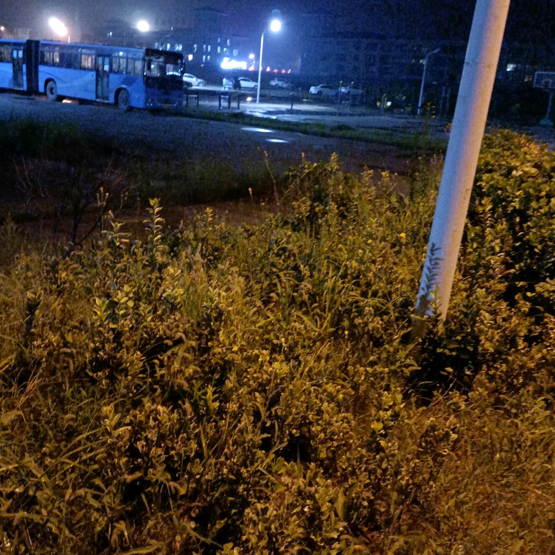 🌹戚可娣🌹🌷🌜🌛🌺