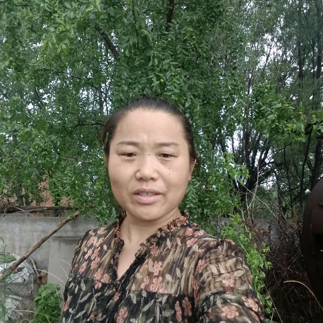 农村傻姐姐