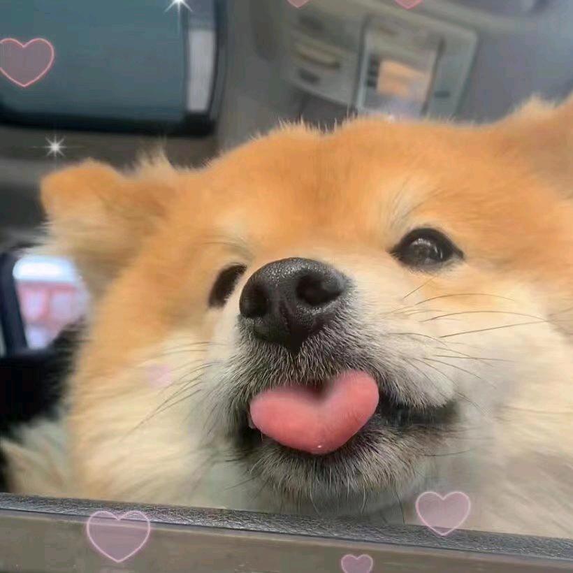 小煊ovo