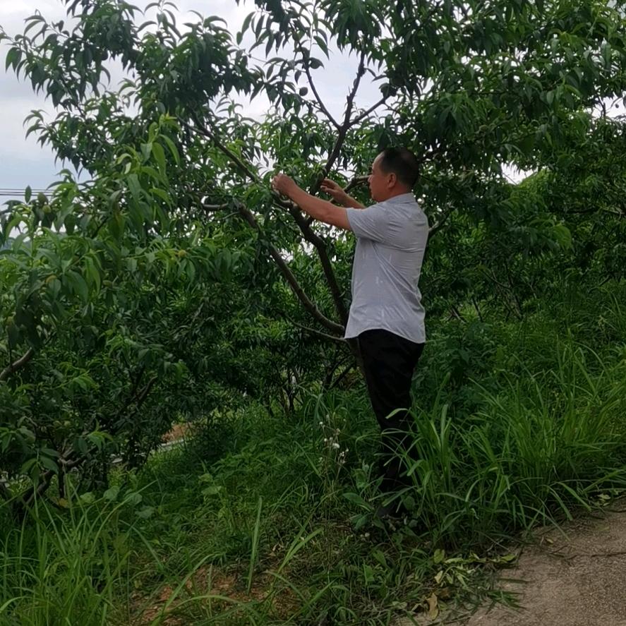 用户压力山大